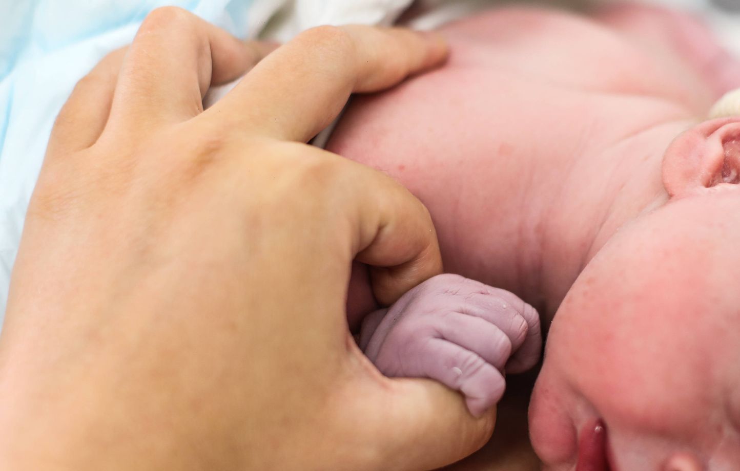 “Apoyo moral”, “un equipo de principio a fin”… Nuestros internautas defienden el papel del padre durante el parto “Apoyo moral”, “un equipo de principio a fin”… Nuestros internautas defienden el papel del padre durante el parto